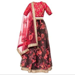 Red and Black Embroidered Lehenga